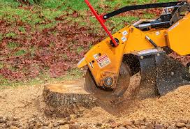 Lawn Maintenance Plans in Richmond, MO